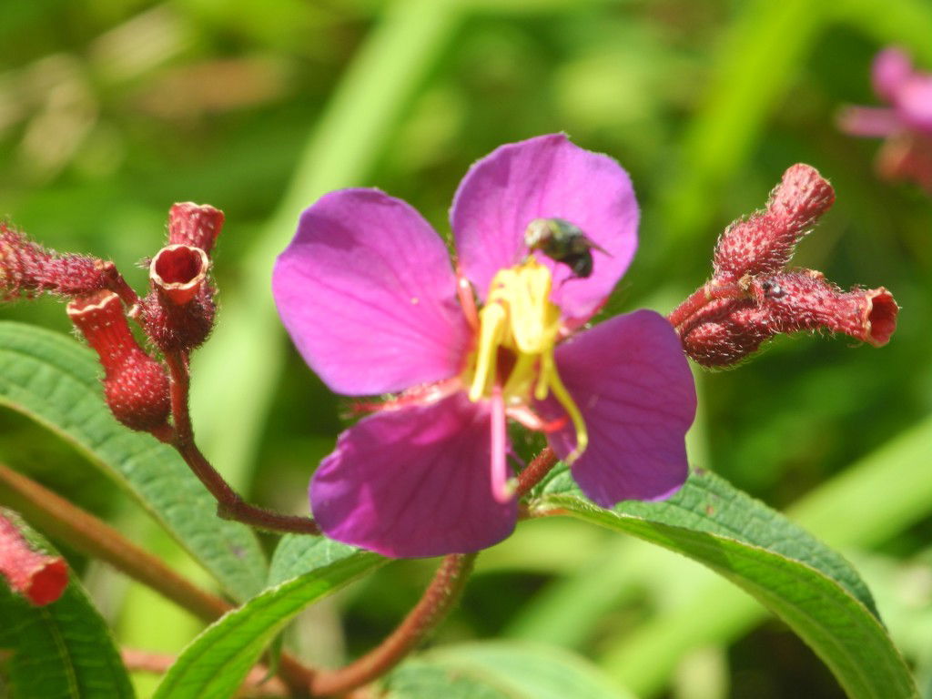 Thanwarat​ profile icon