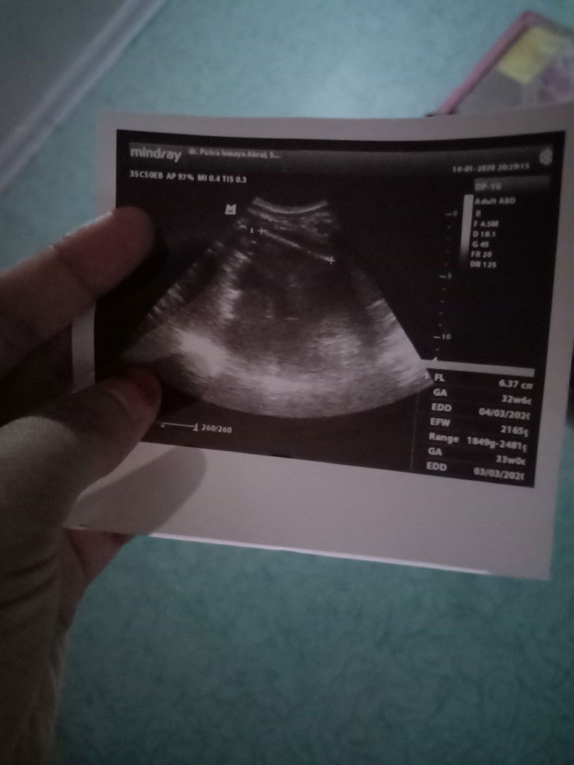 Maemunah Adelia profile icon