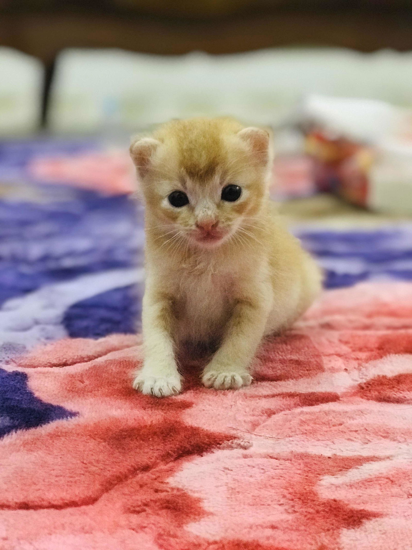 Mrs.Hasni profile icon