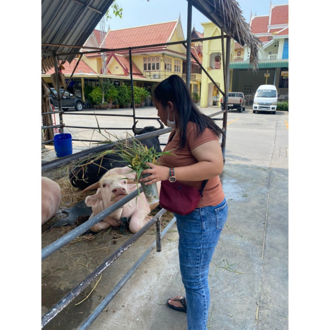 ธนวรรณ profile icon