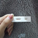 Kim Berger profile icon