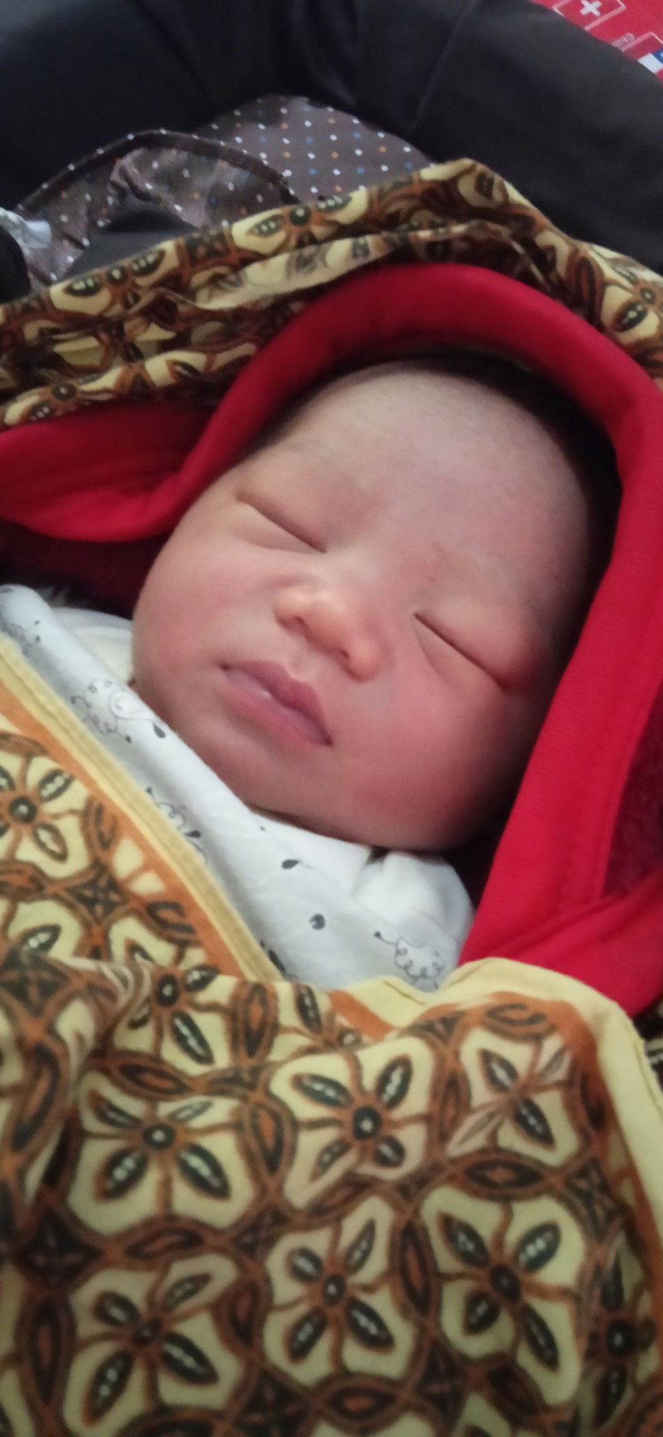 jagoan yg bikin gempar d sambut germecik gerimis