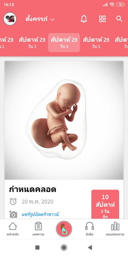 ทีม พ.ค