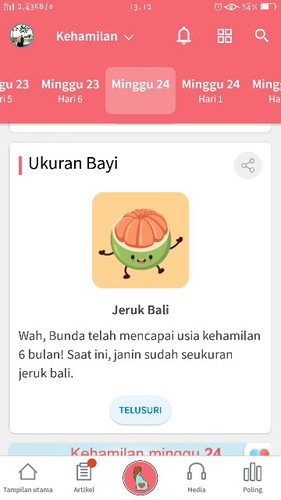 usia kehamilan