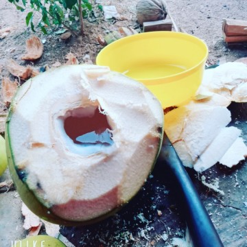 น้ำมะพร้าว