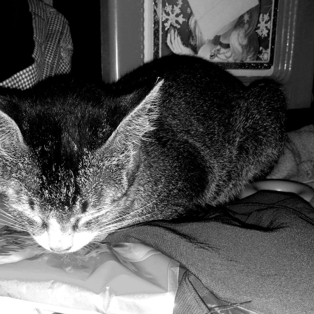 Nita Fadilah profile icon