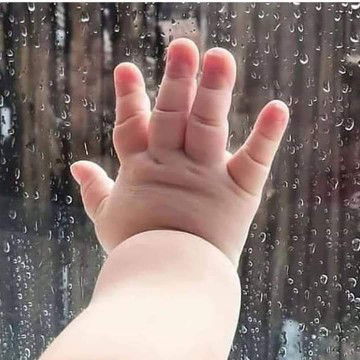 lorina jaibi profile icon