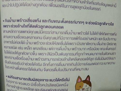 การดื่มน้ำมะพร้าว