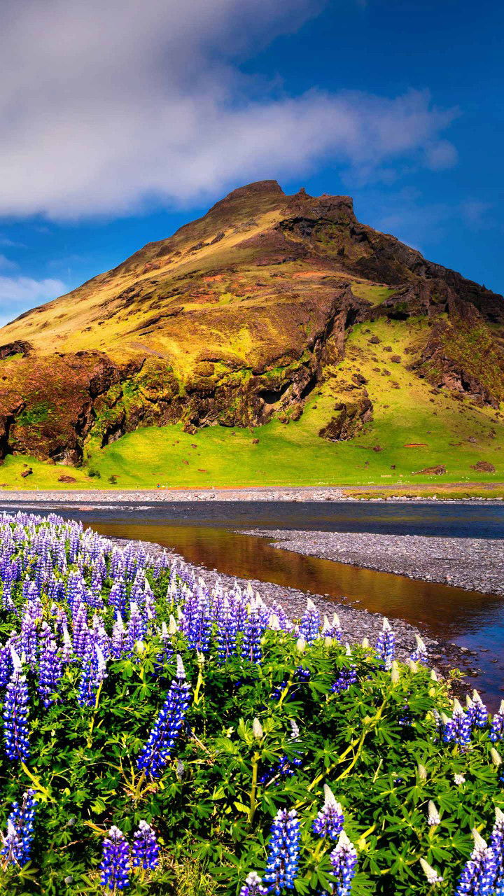 arissa? profile icon