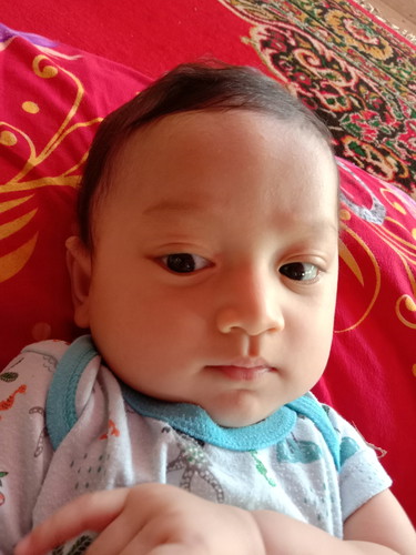 bayi panas dalam