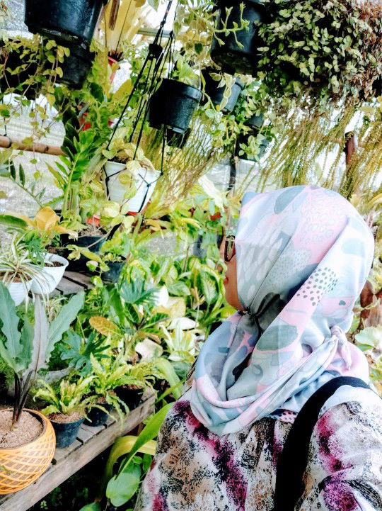 Cerita Cita-Citaku Saat Kecil