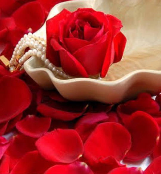 Renalyn Crisostomo profile icon