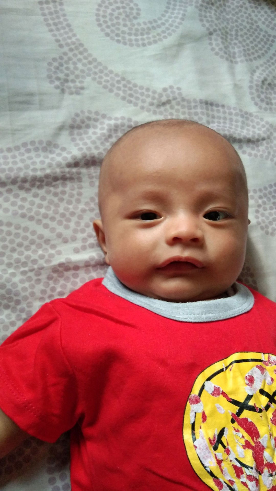 Bayi 2 Bulan