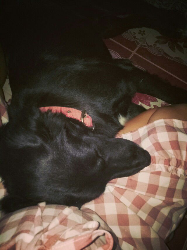 chutimon Sutawong profile icon