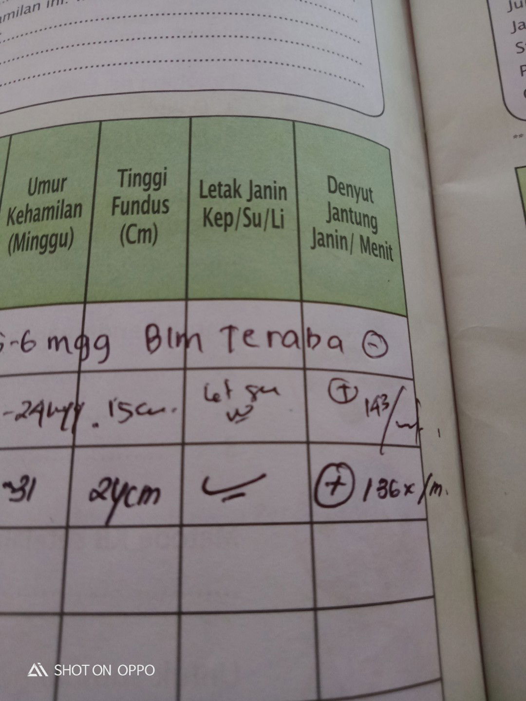 letak janin buku kia