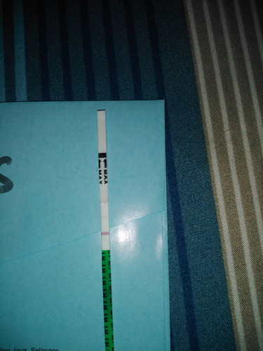Saya Mengandung Ke