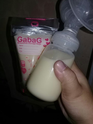pejuang asi