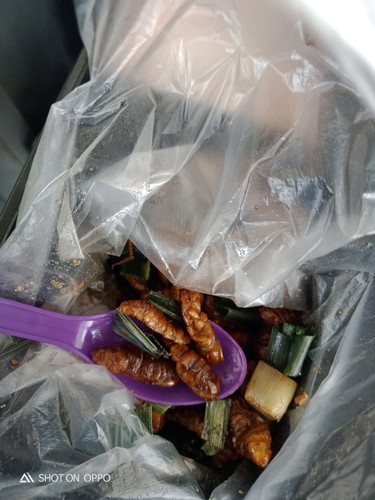 คนท้องกินหนอนได้ไหมคะ