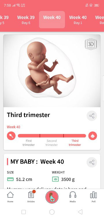 40weeks