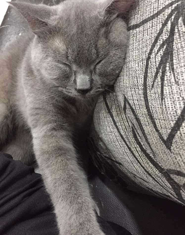 Raudhah profile icon