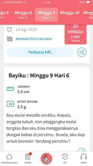 Minggu 9 6 hari