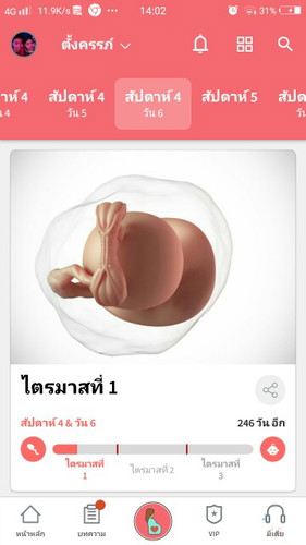ตั้งครรน์