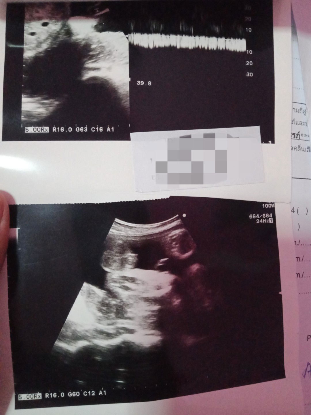 ทีมสิงหาคม