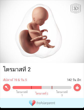 maibird profile icon