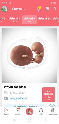 กี่สัปดาห์กันแล้ว