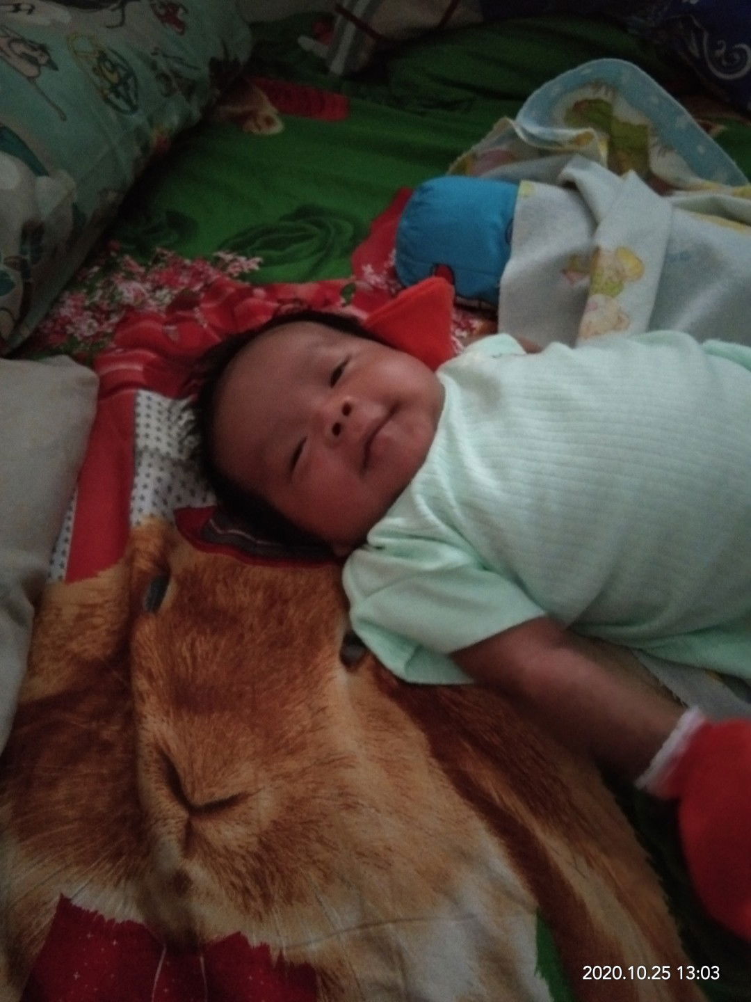 Syahfitri Ririe Anie profile icon