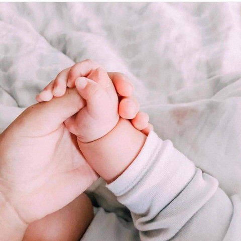 Mộc Mộc profile icon