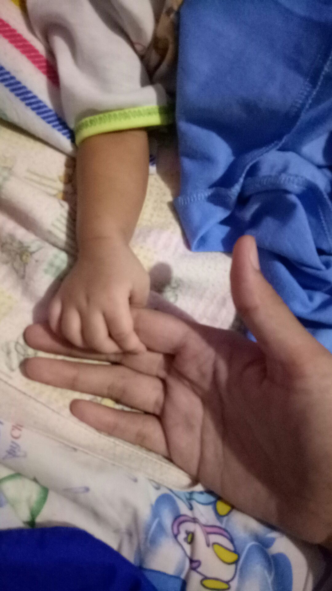 bunda arisha profile icon