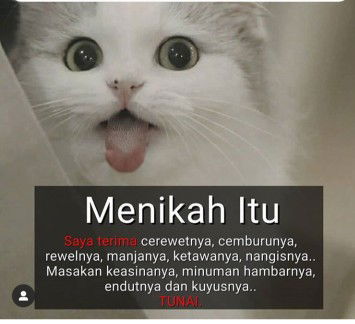 Andini Agustina profile icon