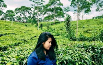 Revha Noviana profile icon