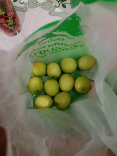 ผลไม้ พุทรา
