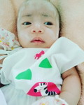 Orang Biasa profile icon