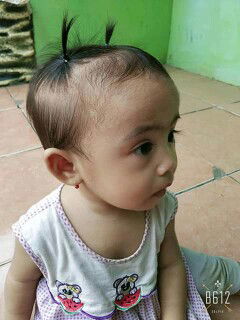 BB di grafik warna kuning tapi tinggi badan Normal