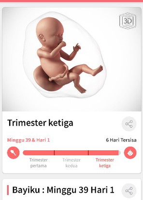kontraksi