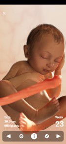 Shafiqa Ishak profile icon