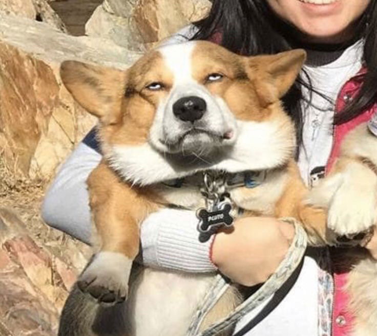 FR Ciela profile icon