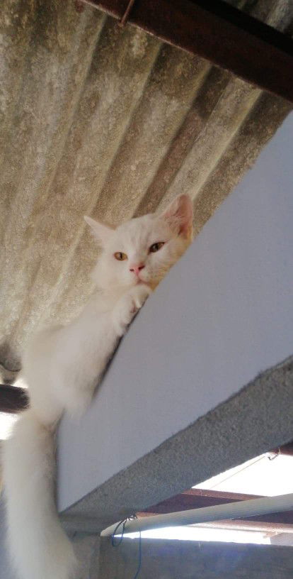 แม่มิ้นกับน้องดานา profile icon