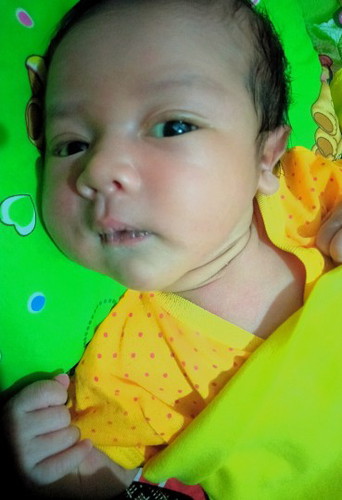 Hpl mei Launching April ?