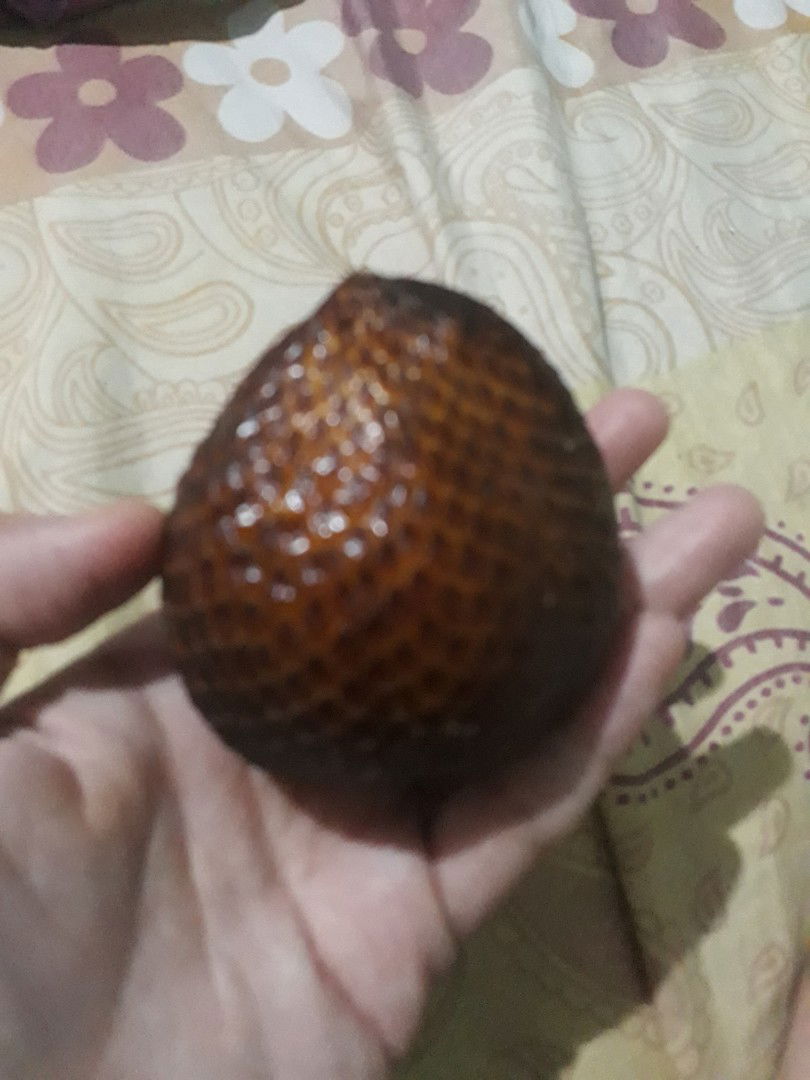 buah salak