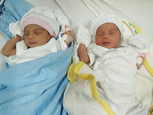 babys is love twin