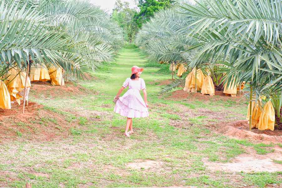 BooM BiM profile icon