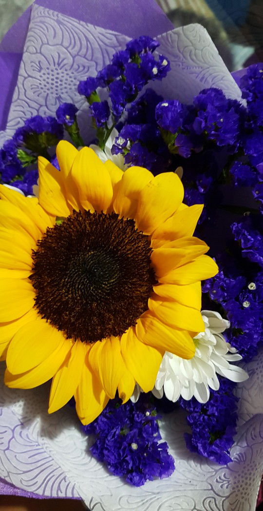 Charmaine Justine Catoto profile icon