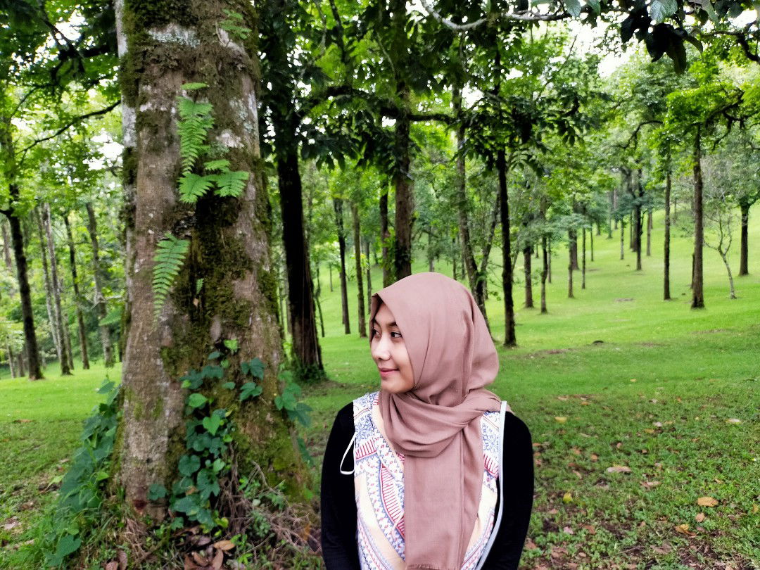 nur laila profile icon