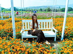 เสาวณีย์ profile icon