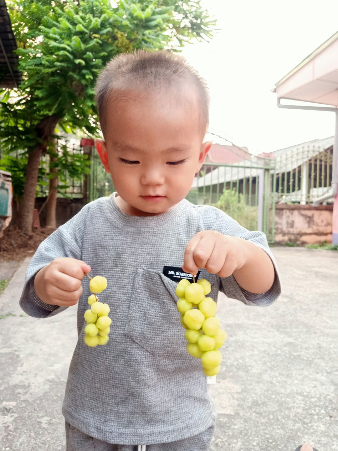 Wassana Saehoe profile icon