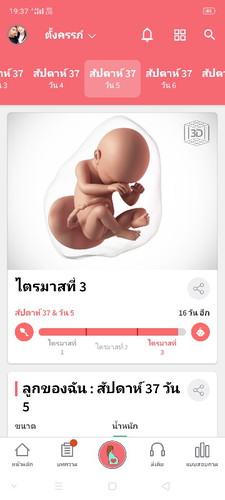 อยากแตกแล้วน่ะหมาน้อย